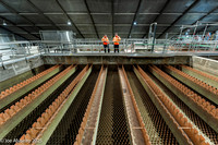 Industrie minière15
