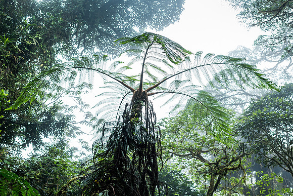 Costa Rica