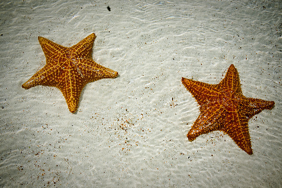 Panama_4826